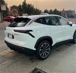 جيتور داشينج